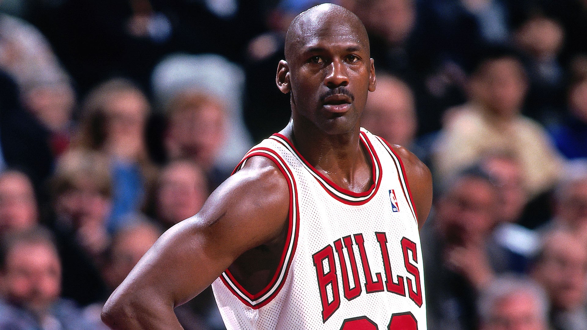 Michael Jordan portrait