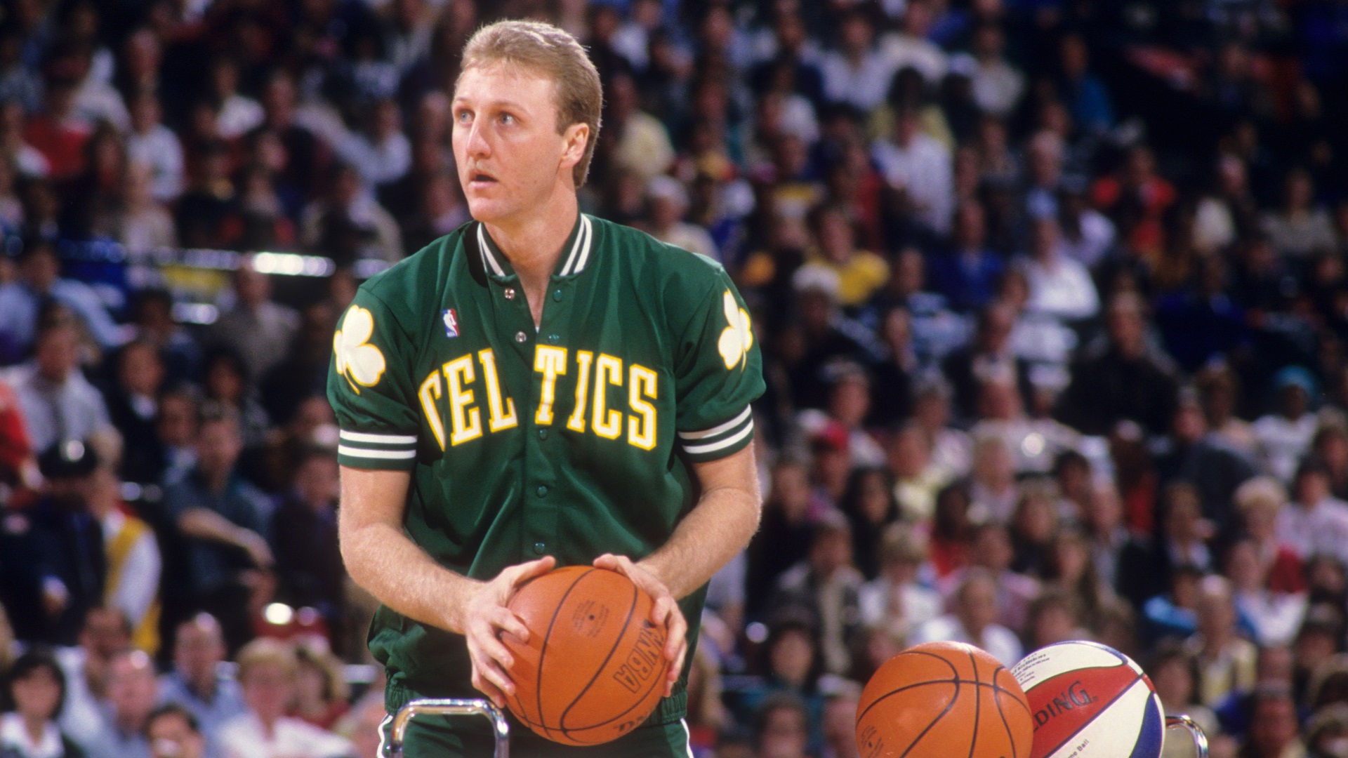 Larry Bird portrait