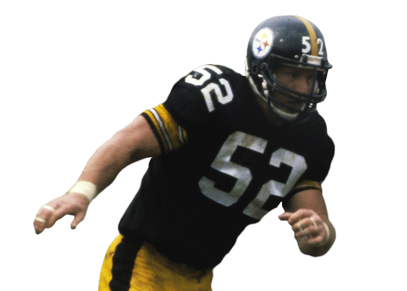 Mike Webster headshot photo