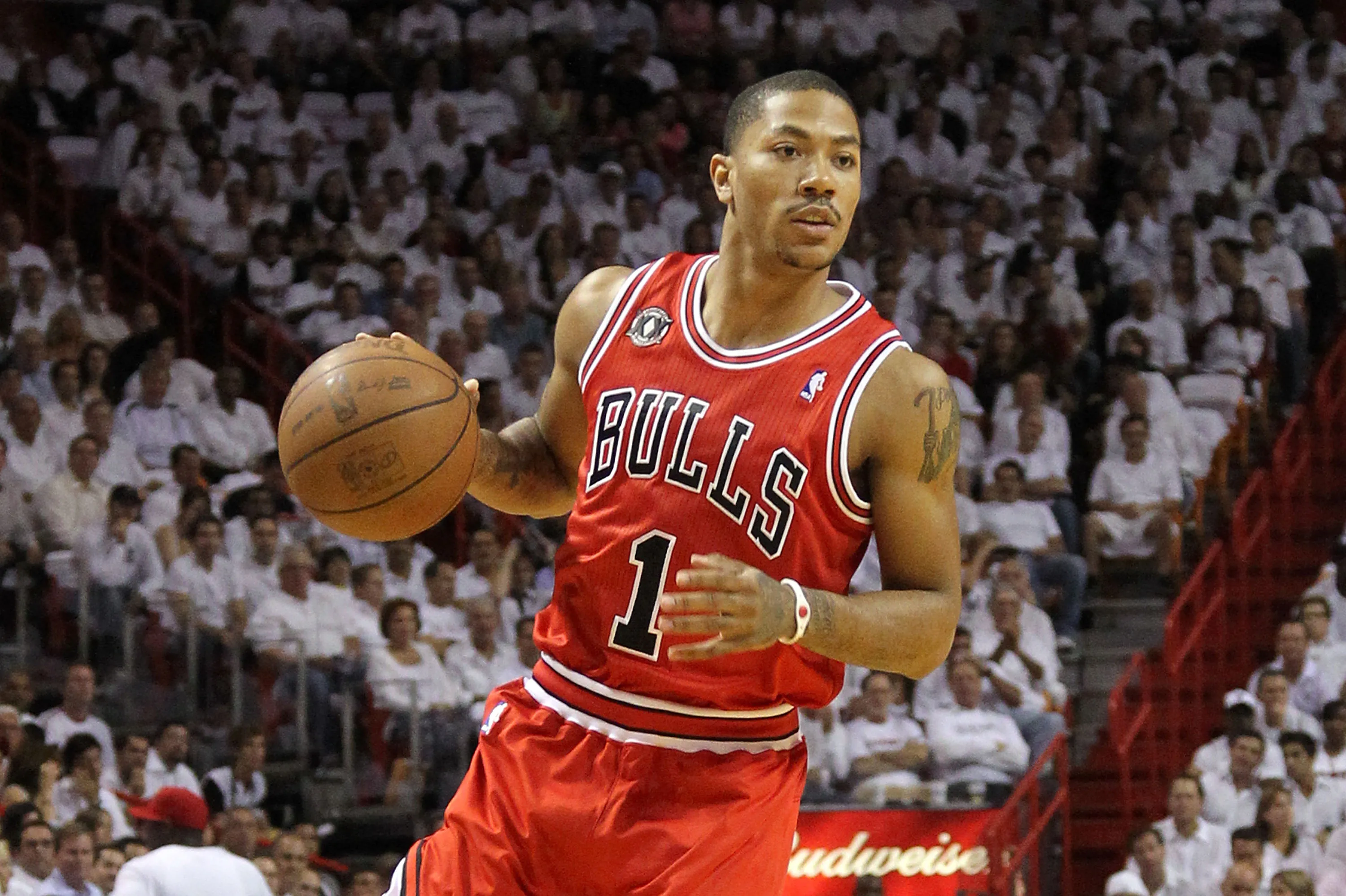 Derrick Rose portrait