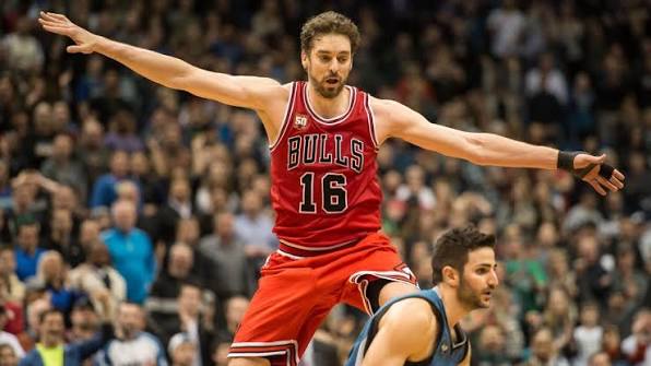 Pau Gasol portrait