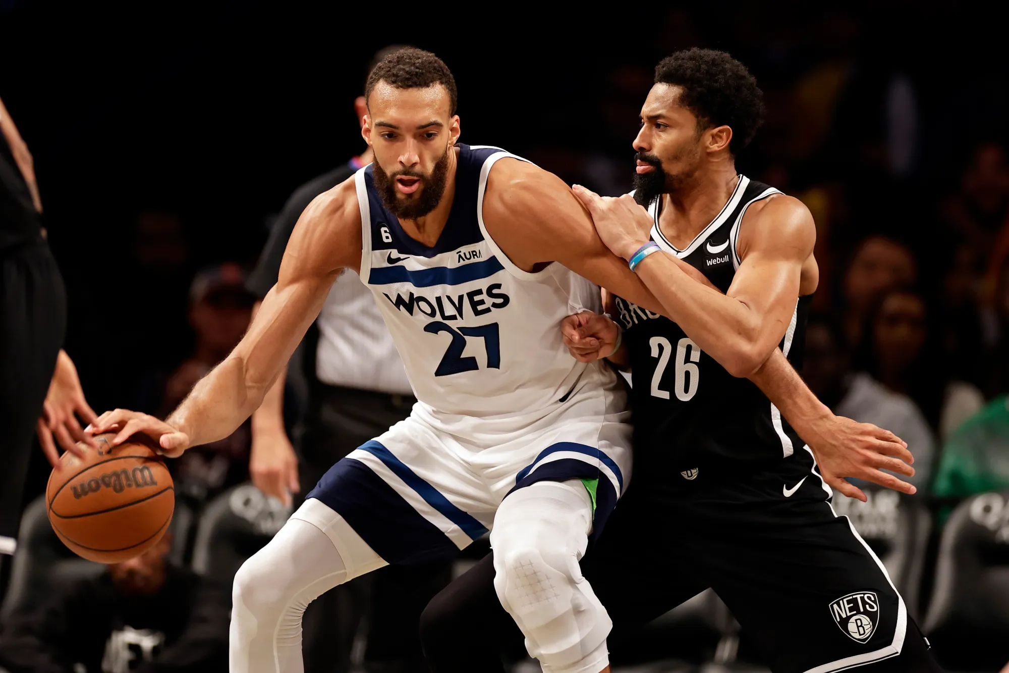 Rudy Gobert portrait